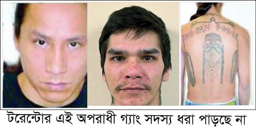 টরন্টোতে বাংলাদেশি ধনী পরিবারের ছাত্র হত্যায় জড়িত অপরাধী গ্যাং ধরা পড়ছে না